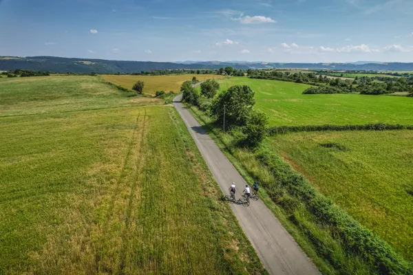 Brebis'Cyclette, En Pays du Roquefort : Cyclo