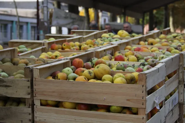 Journée Jus de Pomme