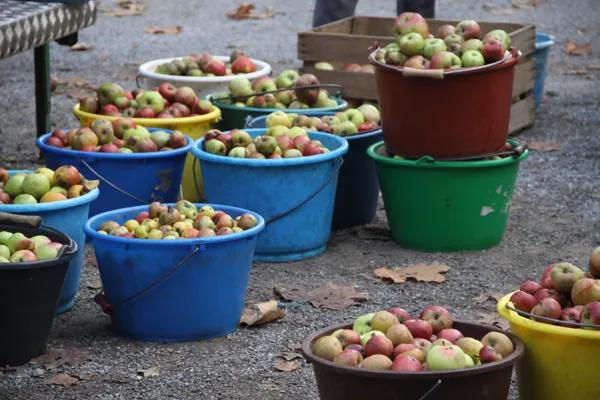 Journée Jus de Pomme