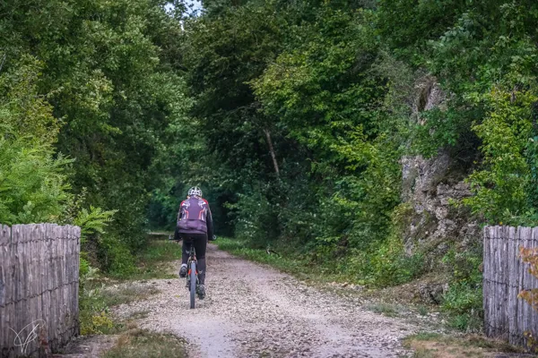 N°13 VTT - Plaisir de ralentir