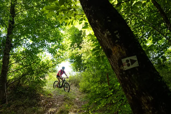 N°18 VTT - Se mettre au vert