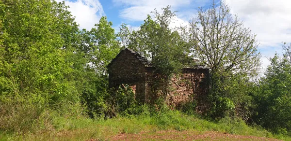 Notre Dame de Grâce