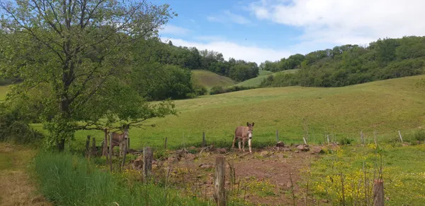 Notre Dame de Grâce