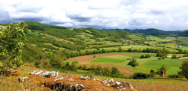 Notre Dame de Grâce