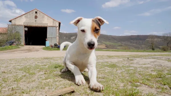 Ferme Brasserie La Caussenarde