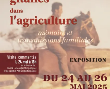 Exposition