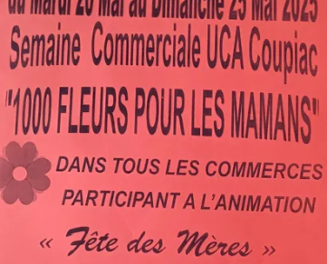 Mille Fleurs pour les Mamans
