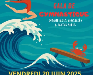 Gala de Gymnastique