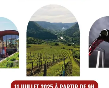 Aveyron wine tour