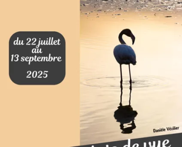 Exposition.