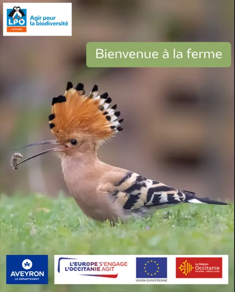 Balades guidées