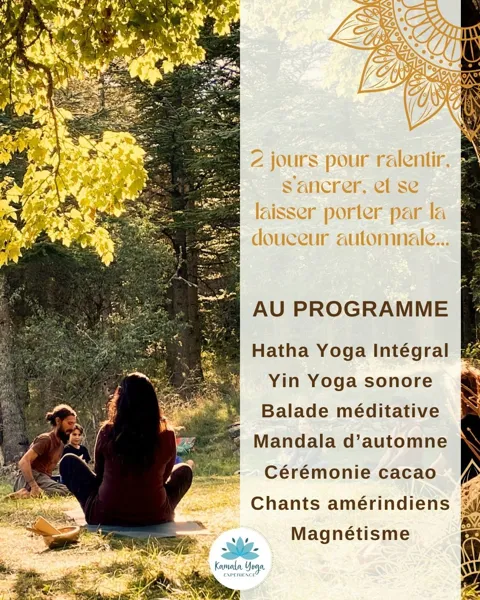 Stage de Yoga