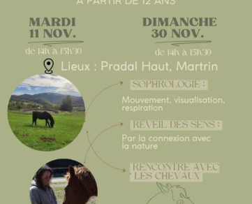 Initiation Sophrologie équine
