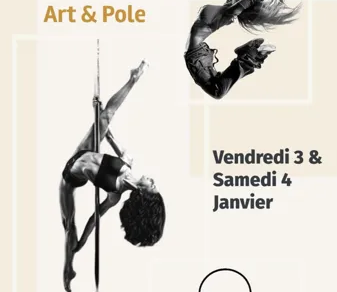 Spectacle Pole Danse