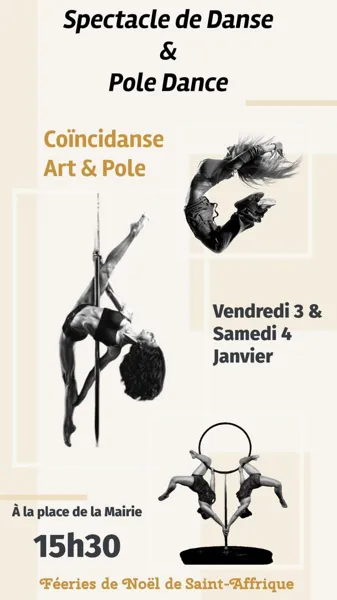 Spectacle Pole Danse