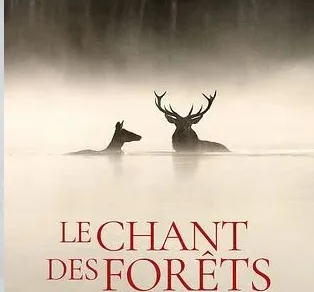 Cinéma : Le Chant des forêts