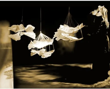 Théâtre d'Ombres : LO CARNAVAL TRAD' DE LAS BESTIAS