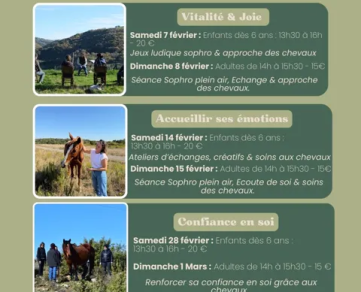 Séance Sophrologie : Accueillir ses émotions