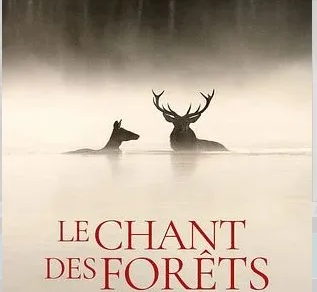 Cinéma : Le Chant des Forêts