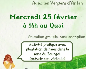 Atelier : Comprendre et Planter des Haies