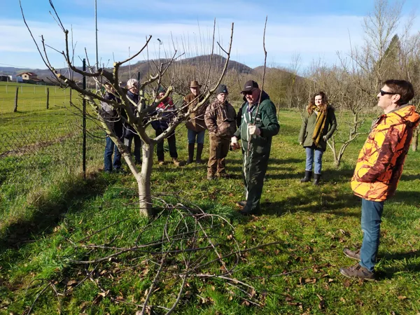 Formation à la taille