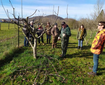 Formation à la taille
