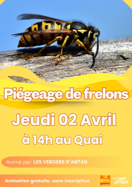 Piégeage frelons