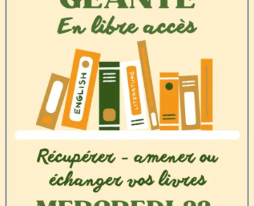 Boîte à livres géante
