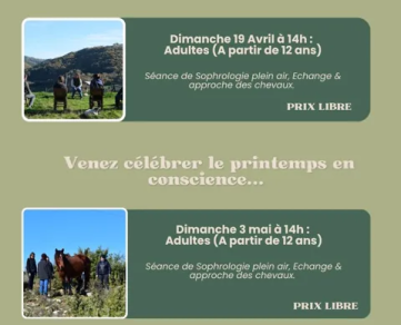 Séance Sophrologie : Venez célébrer le printemps