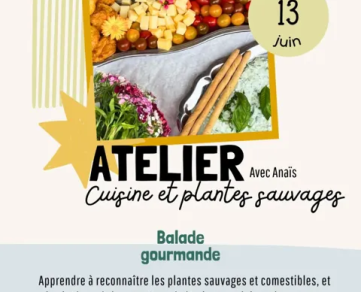Atelier cuisine et plantes sauvages