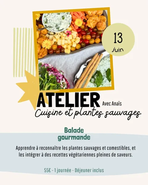 Atelier cuisine et plantes sauvages