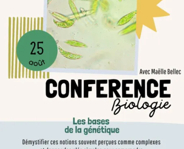 Conférence
