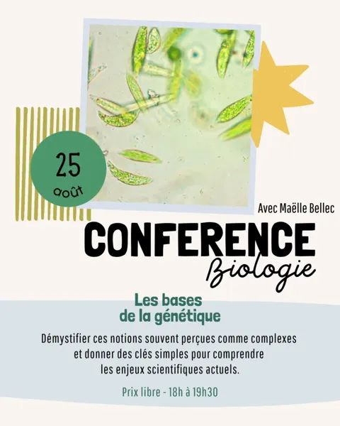 Conférence