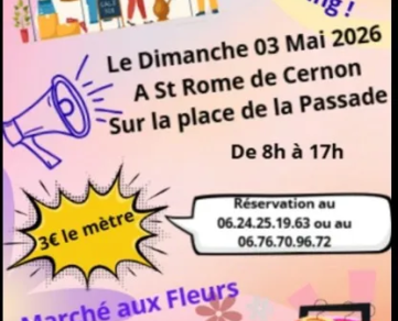 Vide Grenier et Marché aux fleurs