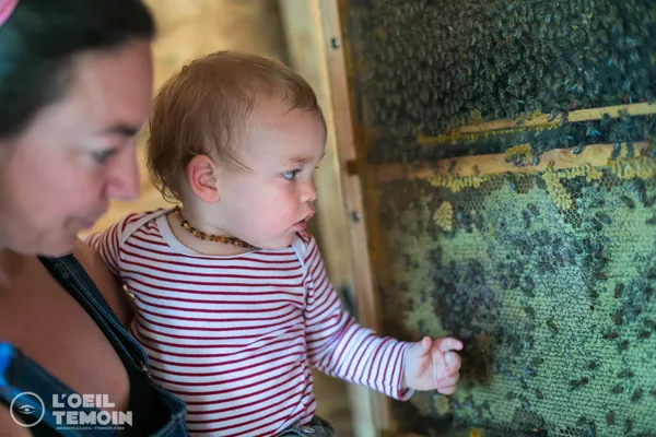 Enfants de tous âges bienvenus à la visite immersive au coeur du monde des abeilles