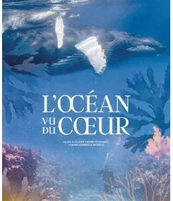 Cinéma : "L'Océan vu du cœur"