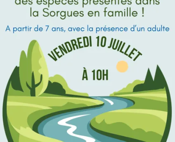 Atelier de découverte de la rivière : Les Pieds dans l'Eau