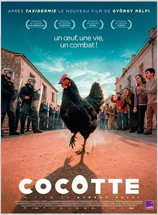 Cocotte en VO