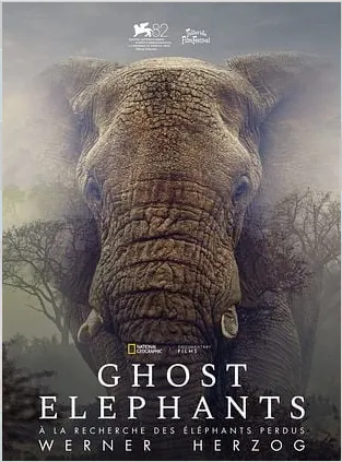 Ghost Elephants