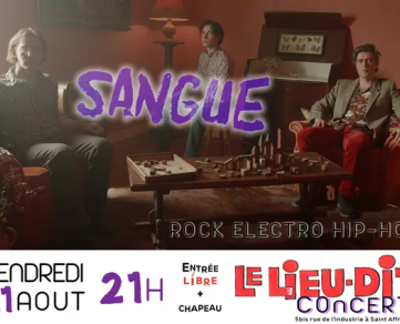 Concert de Rock Electro Hip-Hop