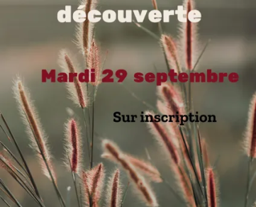 Sortie nature