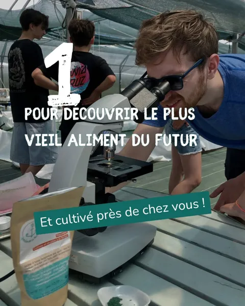 Fête de la Spiruline