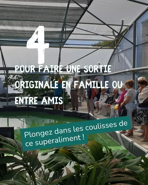 Fête de la Spiruline