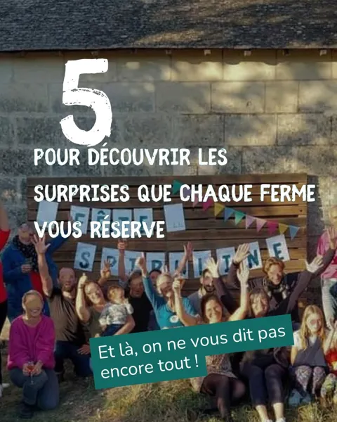 Fête de la Spiruline
